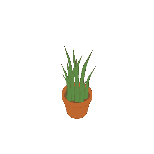 A potted chive plant